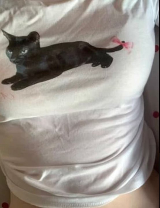 Cat With Bow Preppy Baby Tee C - Baby Y2K Clothing recensione e prezzo